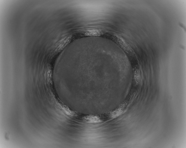 X0000098020322200804111304