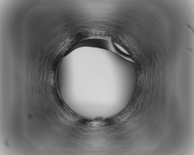 X0000098020323200804111304