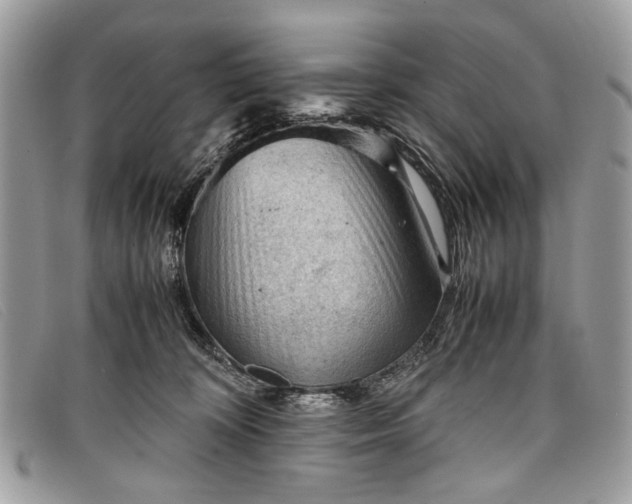 X0000098020324200804111304