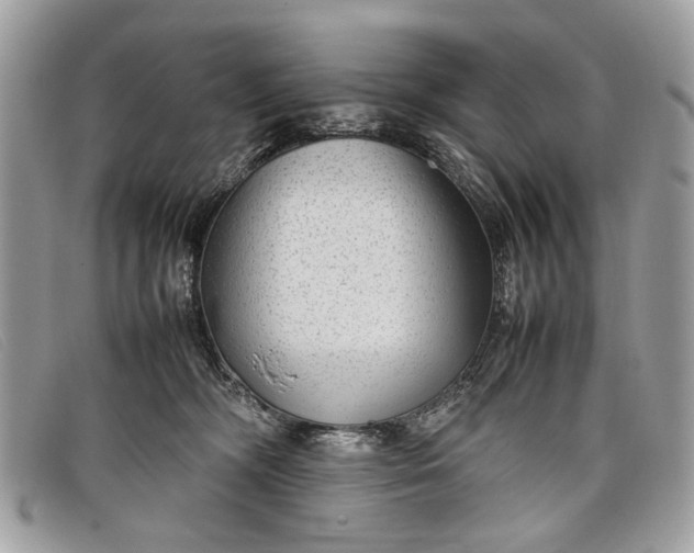 X0000098020326200804111304