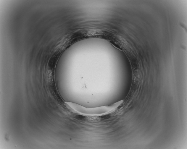 X0000098020327200804111304