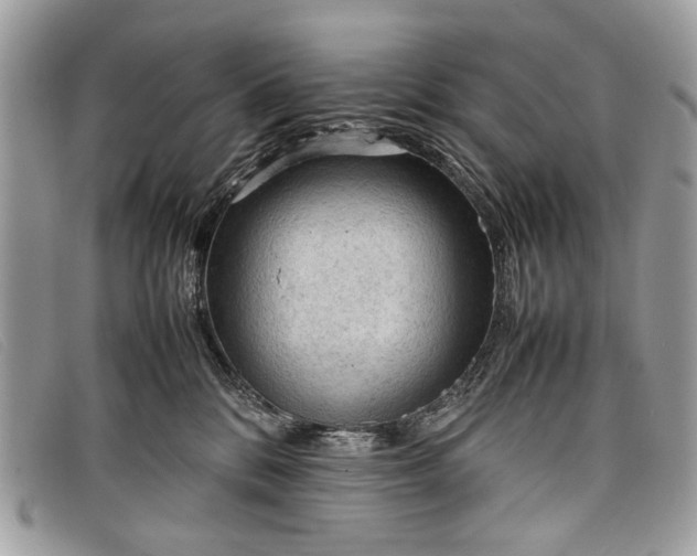 X0000098020328200804111304