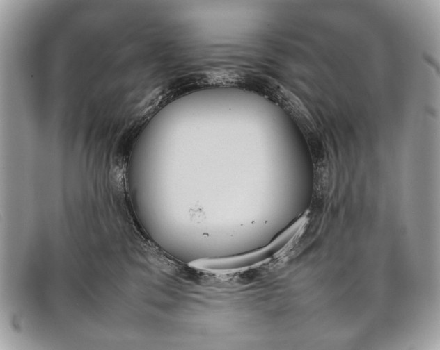 X0000098020329200804111304