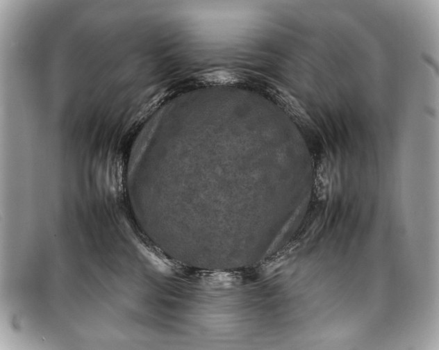 X0000098020330200804111304