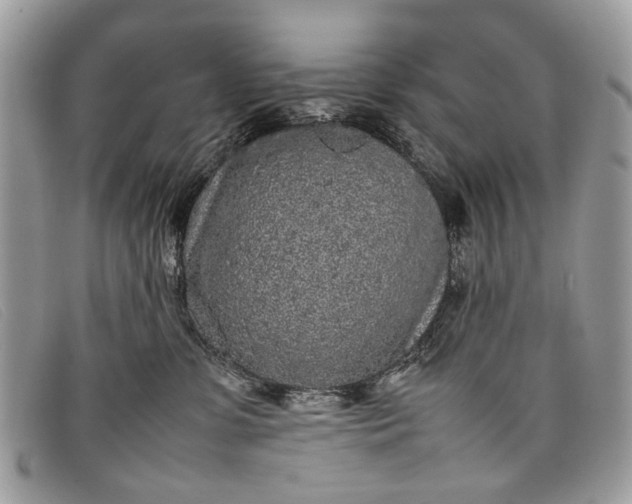 X0000098020331200804111304