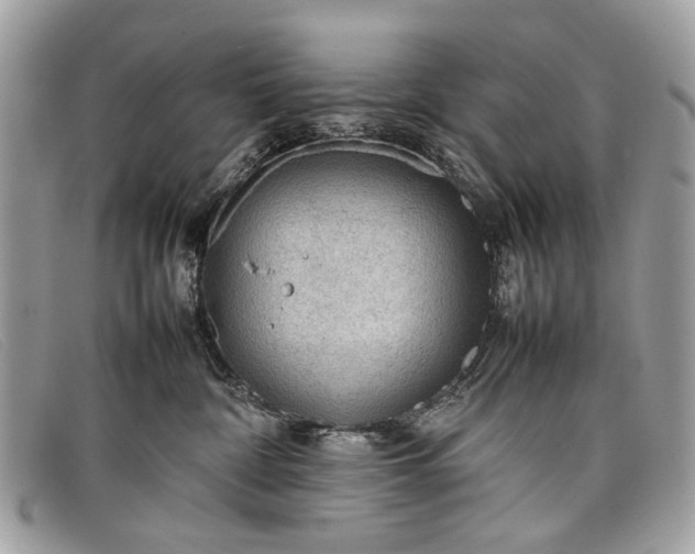 X0000098020332200804111304