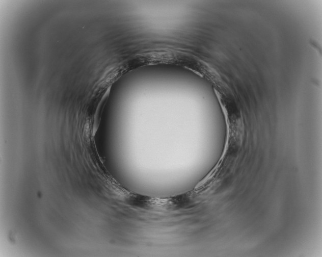 X0000098020333200804111304