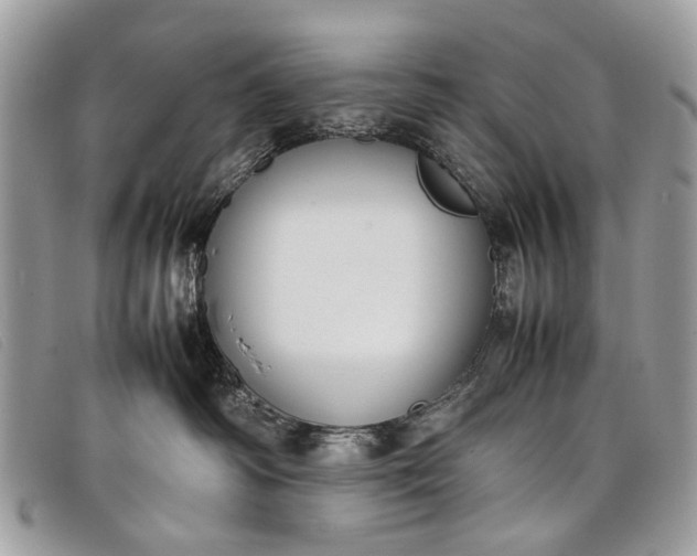 X0000098020334200804111304