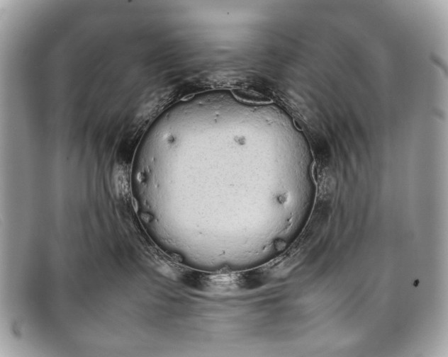 X0000098020335200804111304