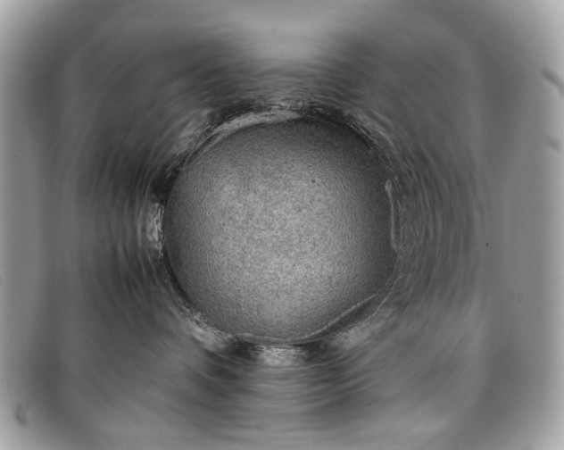 X0000098020336200804111304