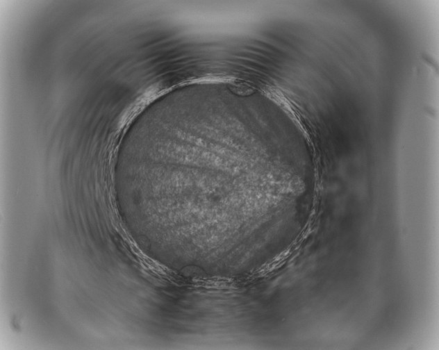 X0000098020337200804111303