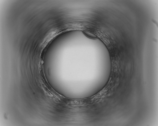 X0000098020338200804111303