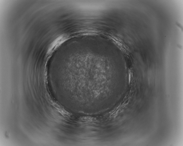 X0000098020339200804111303