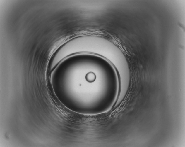 X0000098020340200804111303