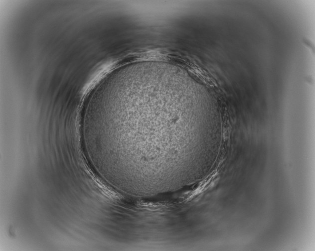 X0000098020341200804111303