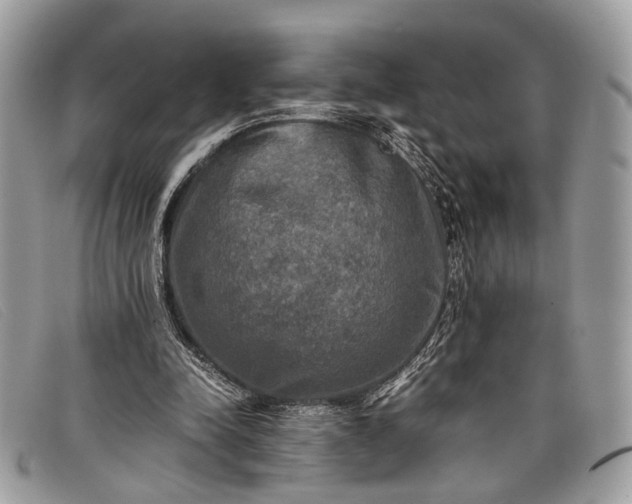 X0000098020342200804111303