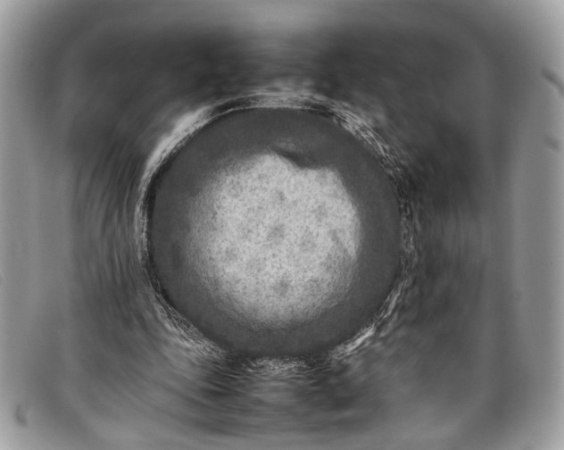 X0000098020343200804111303