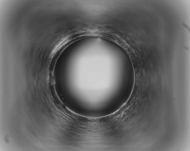 X0000098020344200804111303