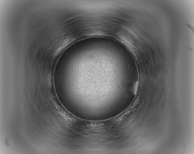 X0000098020345200804111303