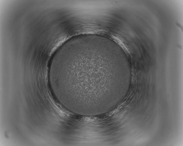 X0000098020346200804111303