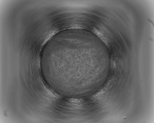 X0000098020347200804111303