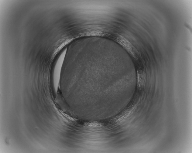 X0000098020348200804111303