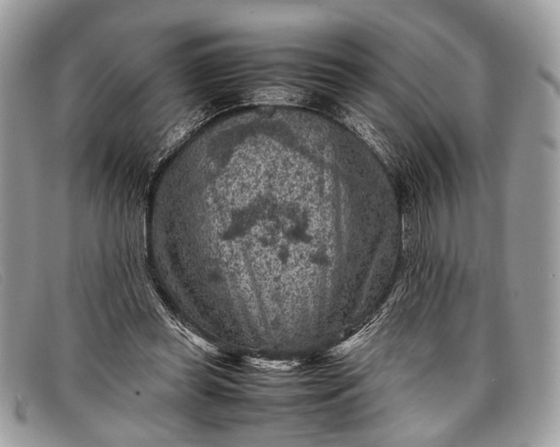 X0000098020349200804111303