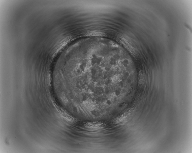 X0000098020351200804111304