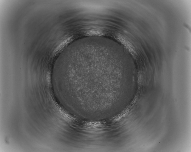 X0000098020353200804111304