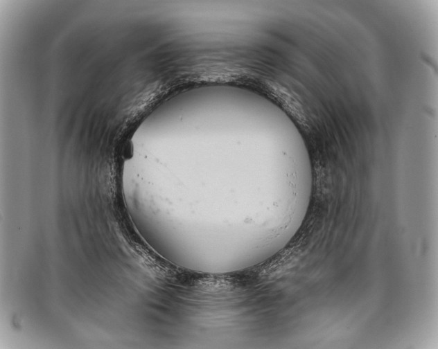 X0000098020354200804111304