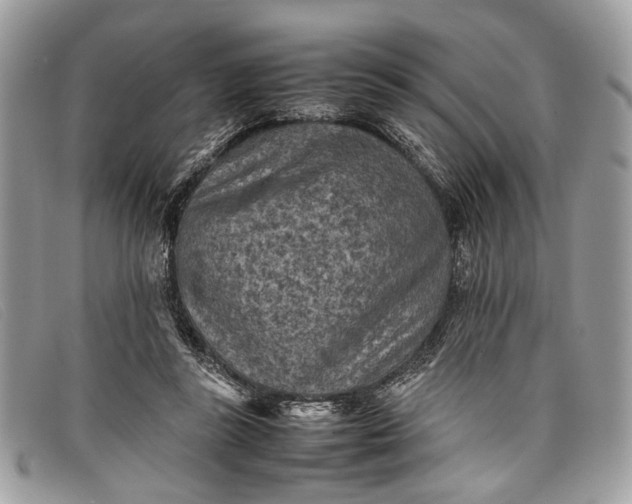 X0000098020355200804111304