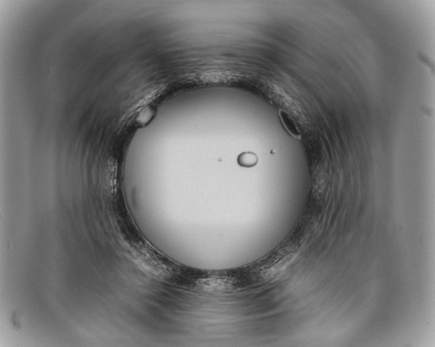 X0000098020356200804111304