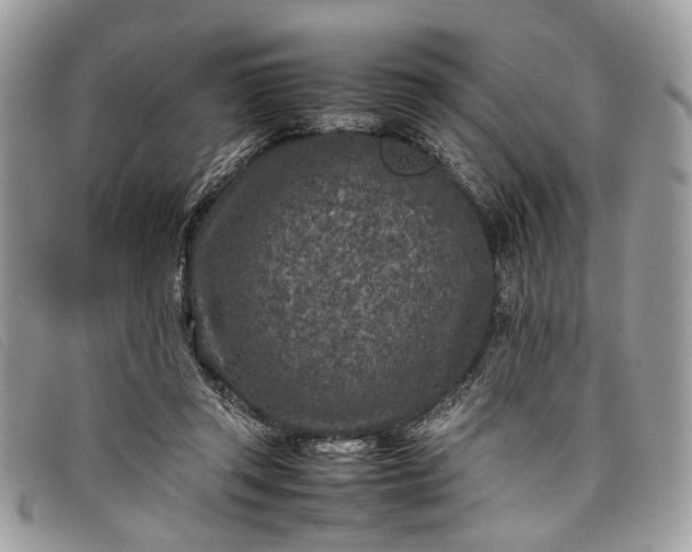 X0000098020357200804111304