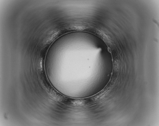 X0000098020358200804111304