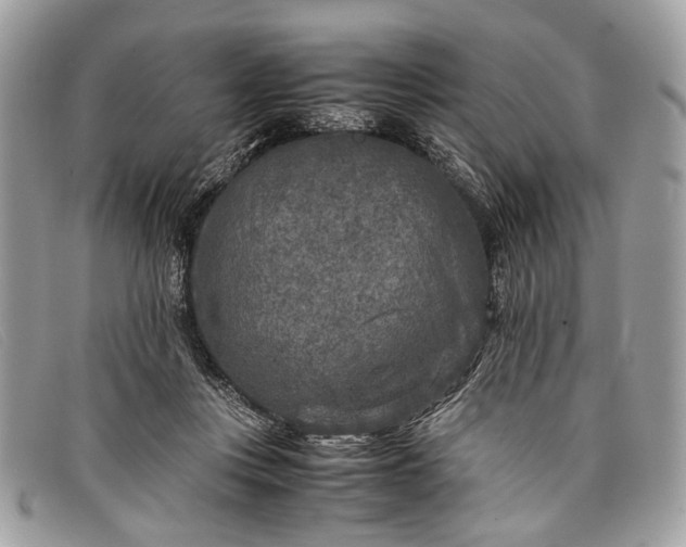 X0000098020359200804111304