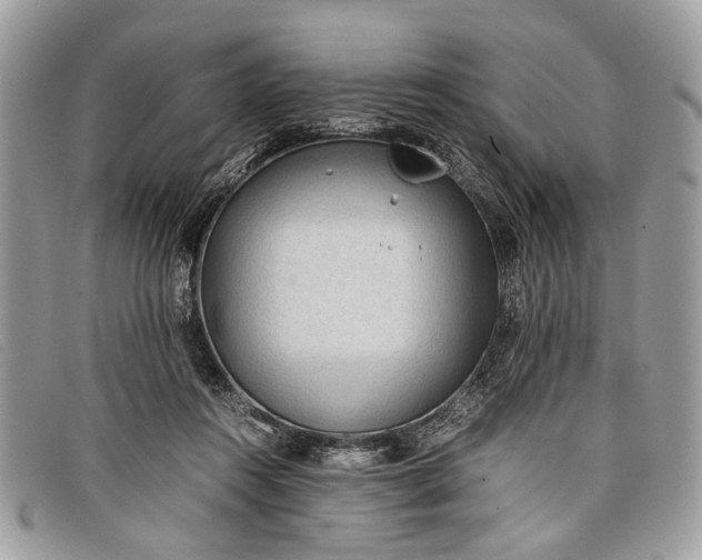 X0000098020360200804111304