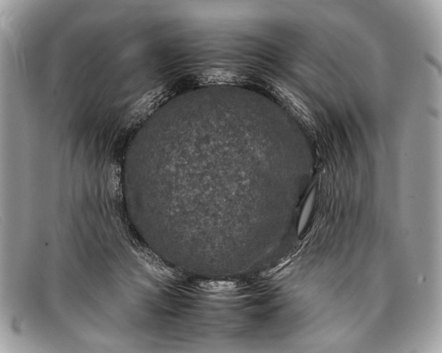 X0000098020361200804111304