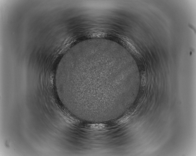 X0000098020363200804111304