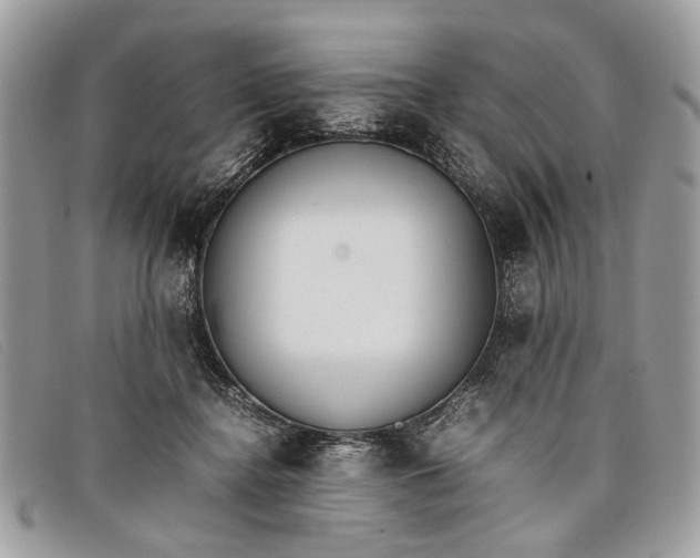 X0000098020364200804111304