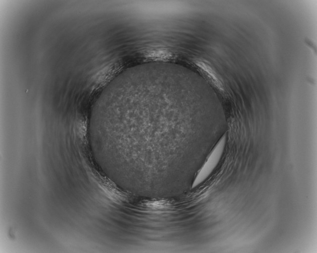 X0000098020365200804111304