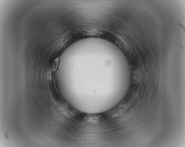 X0000098020368200804111304