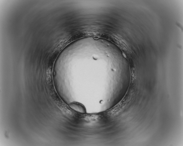 X0000098020369200804111304