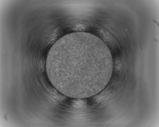 X0000098020370200804111304