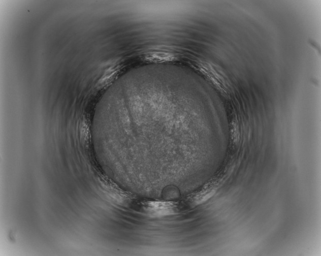 X0000098020371200804111304