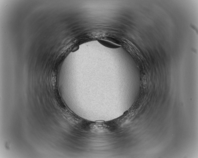 X0000098020372200804111304