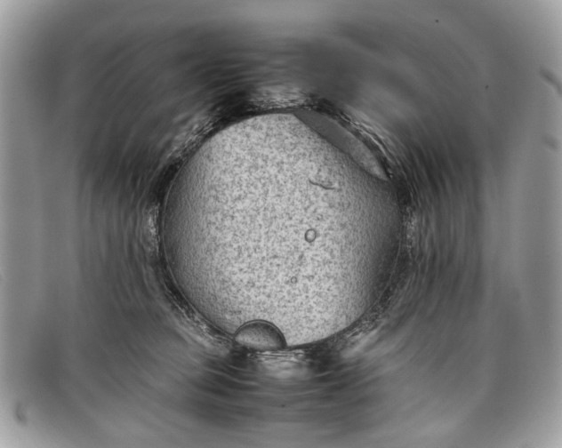 X0000098020373200804111304