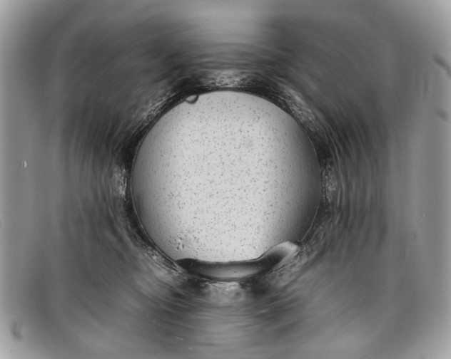 X0000098020374200804111304