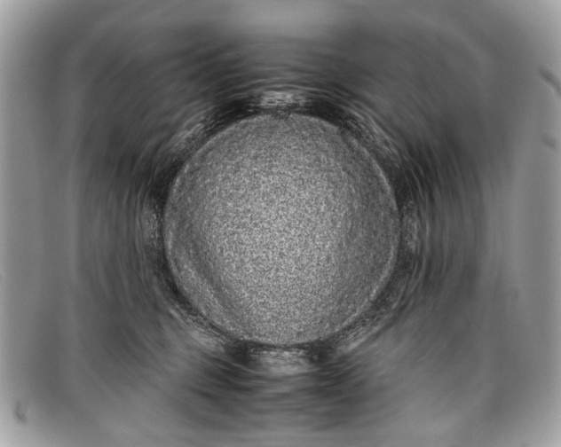 X0000098020375200804111304