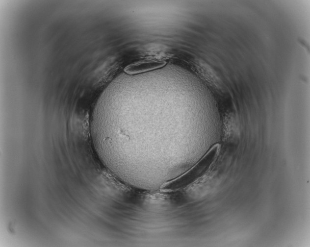 X0000098020376200804111304