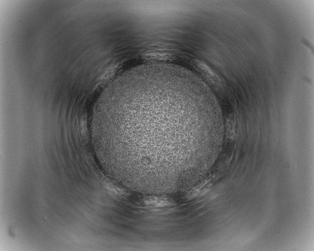 X0000098020377200804111304